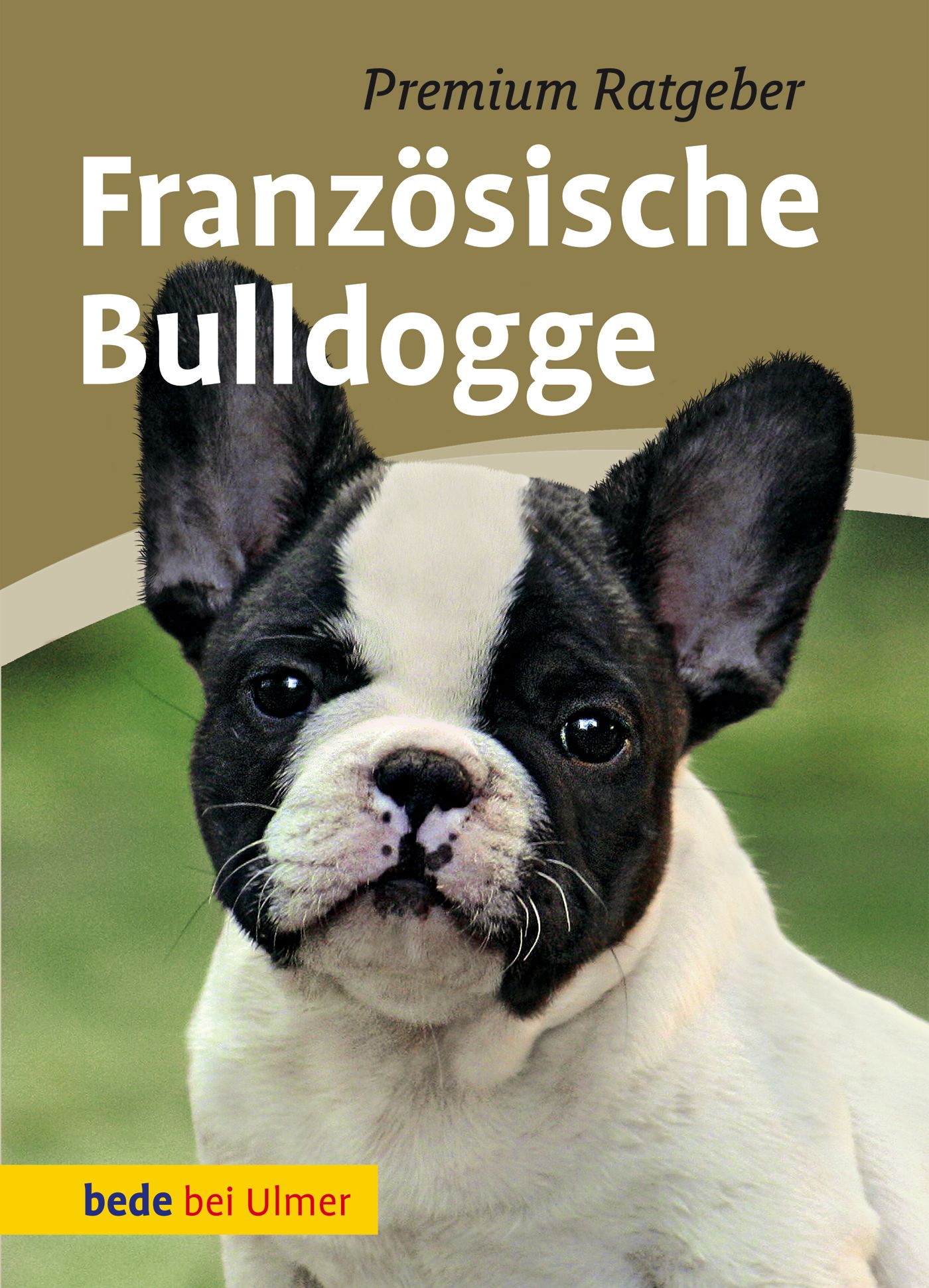 Vorderes Coverbild Französische Bulldogge