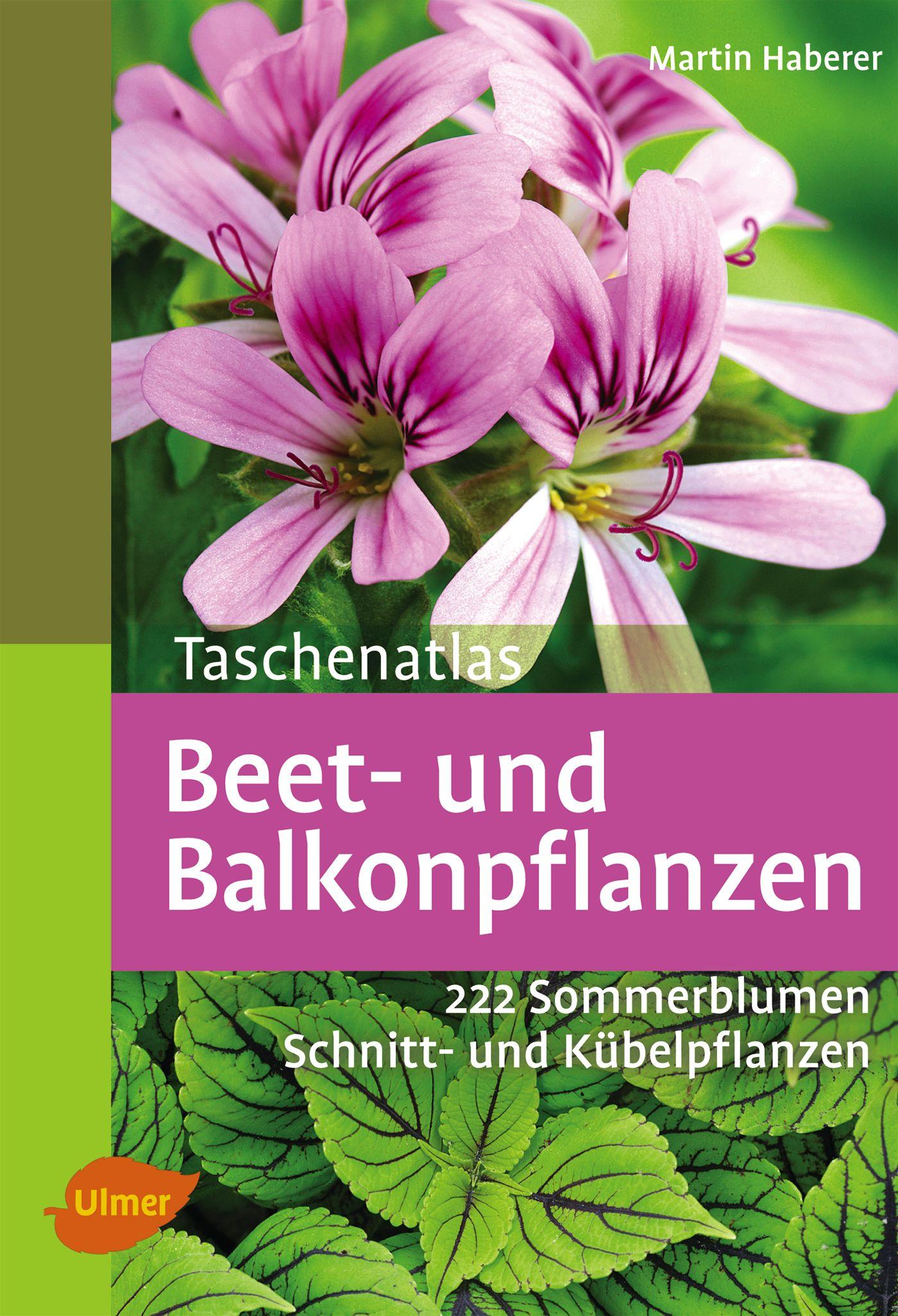 Vorderes Coverbild Taschenatlas Beet- und Balkonpflanzen