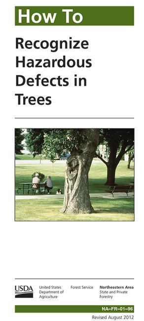 Vorderes Coverbild How to Recognize Hazardous Defects in Trees
