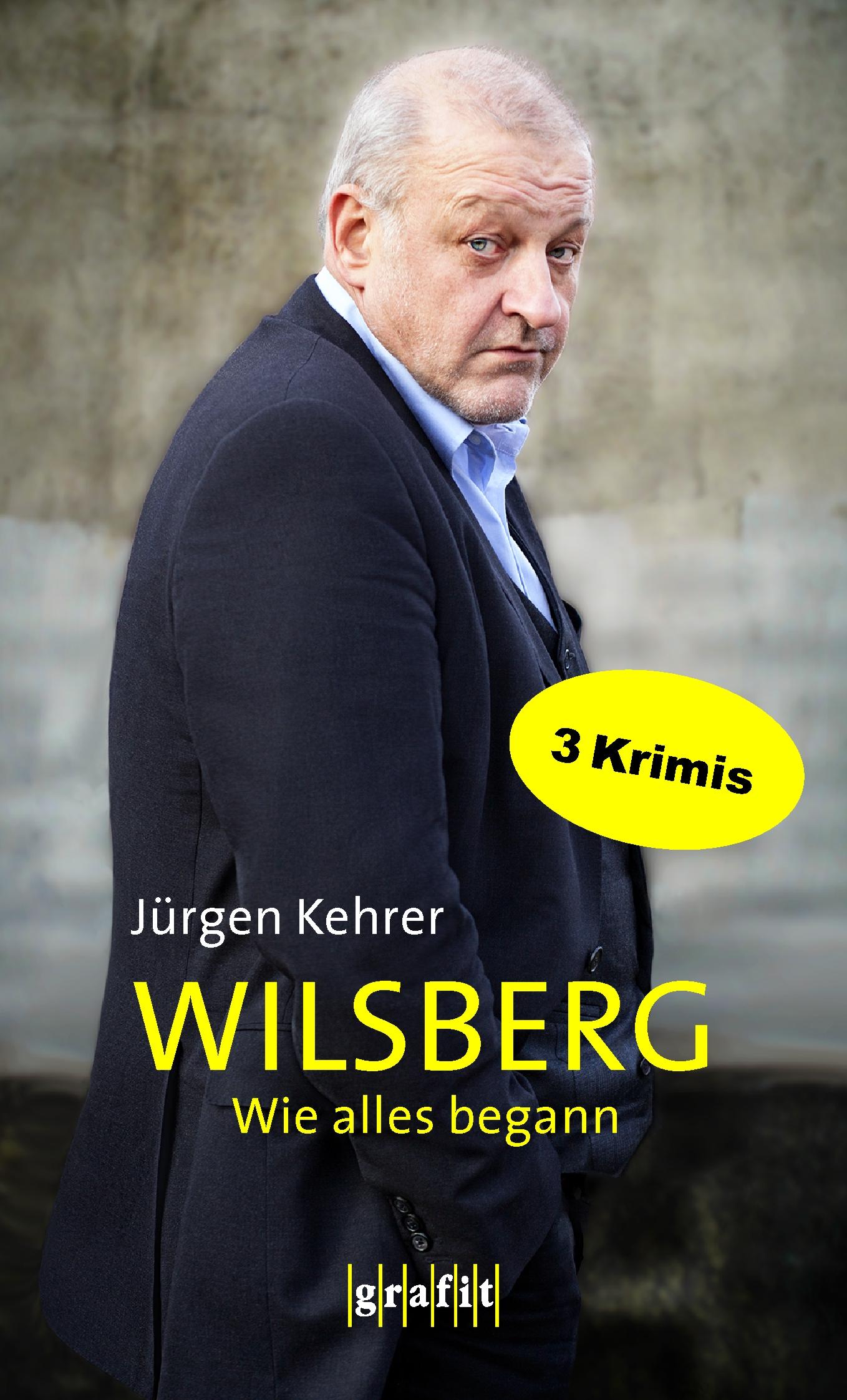 Vorderes Coverbild Wilsberg - Wie alles begann