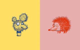 Beispielinhalt (Bild) Und außerdem sind Borsten schön