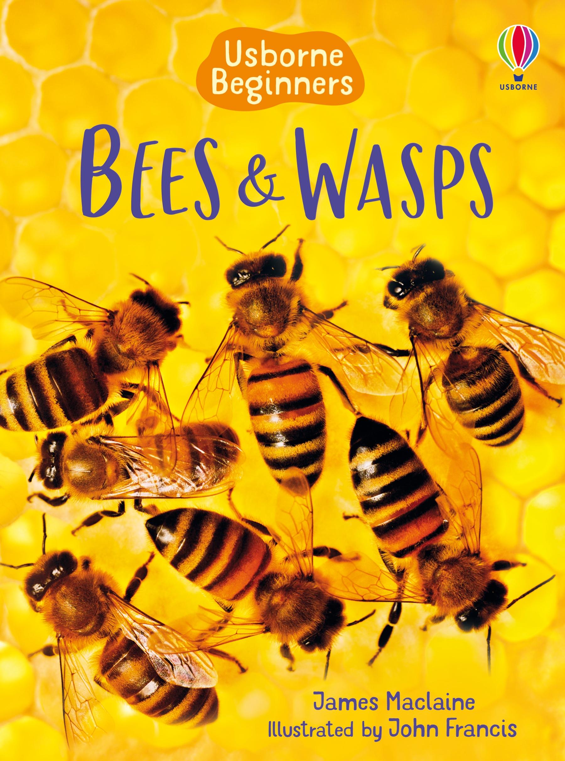 Vorderes Coverbild Bees and Wasps