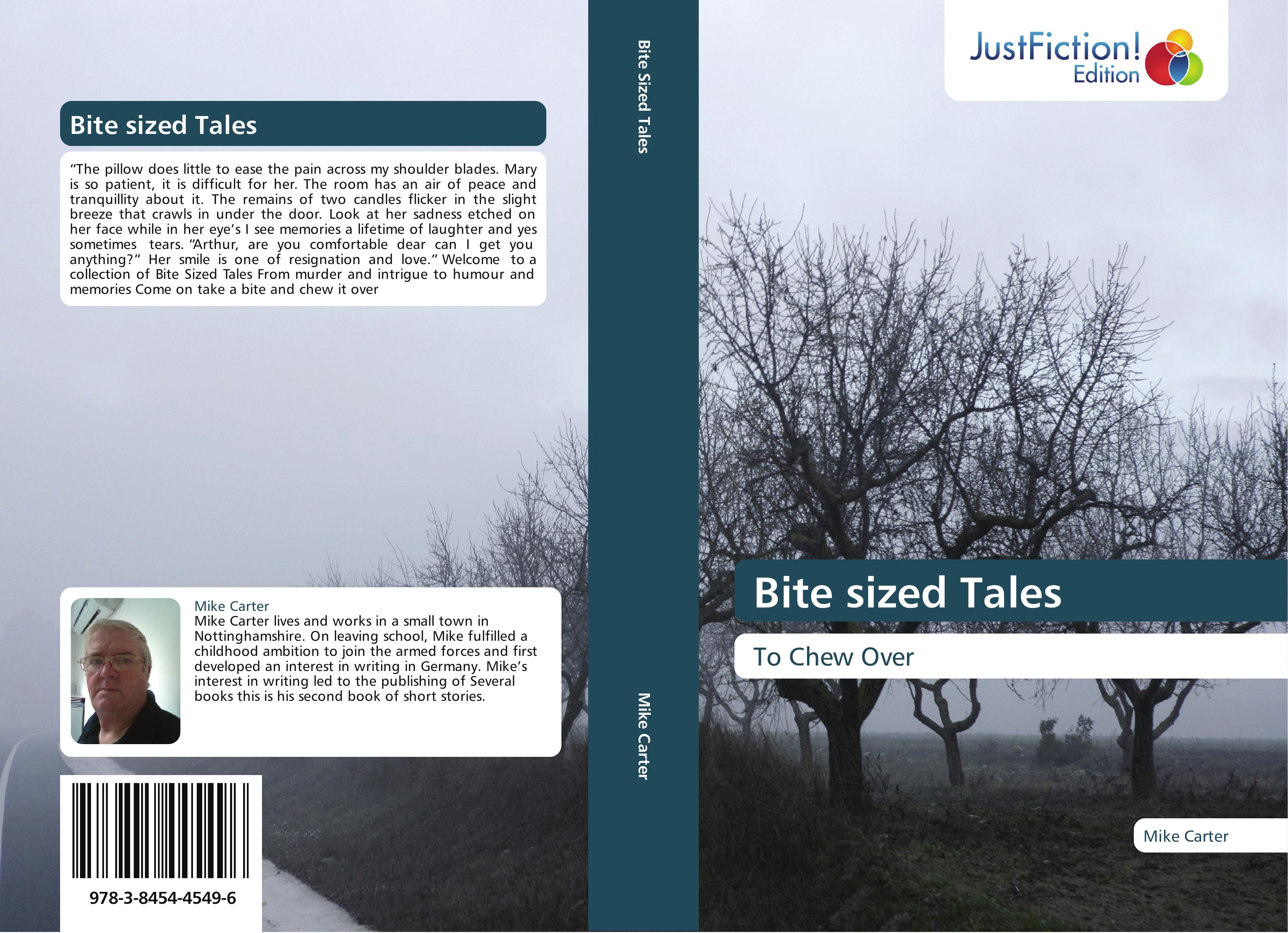 Vorderes Coverbild Bite sized Tales