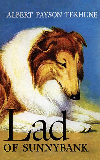 Vorderes Coverbild Lad of Sunnybank
