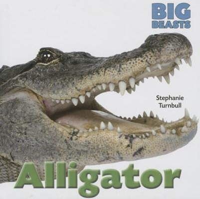 Vorderes Coverbild Alligator