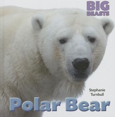 Vorderes Coverbild Polar Bear
