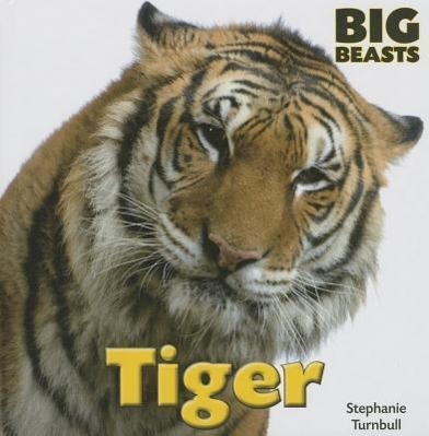 Vorderes Coverbild Tiger