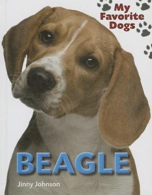 Vorderes Coverbild Beagle