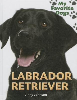 Vorderes Coverbild Labrador Retriever