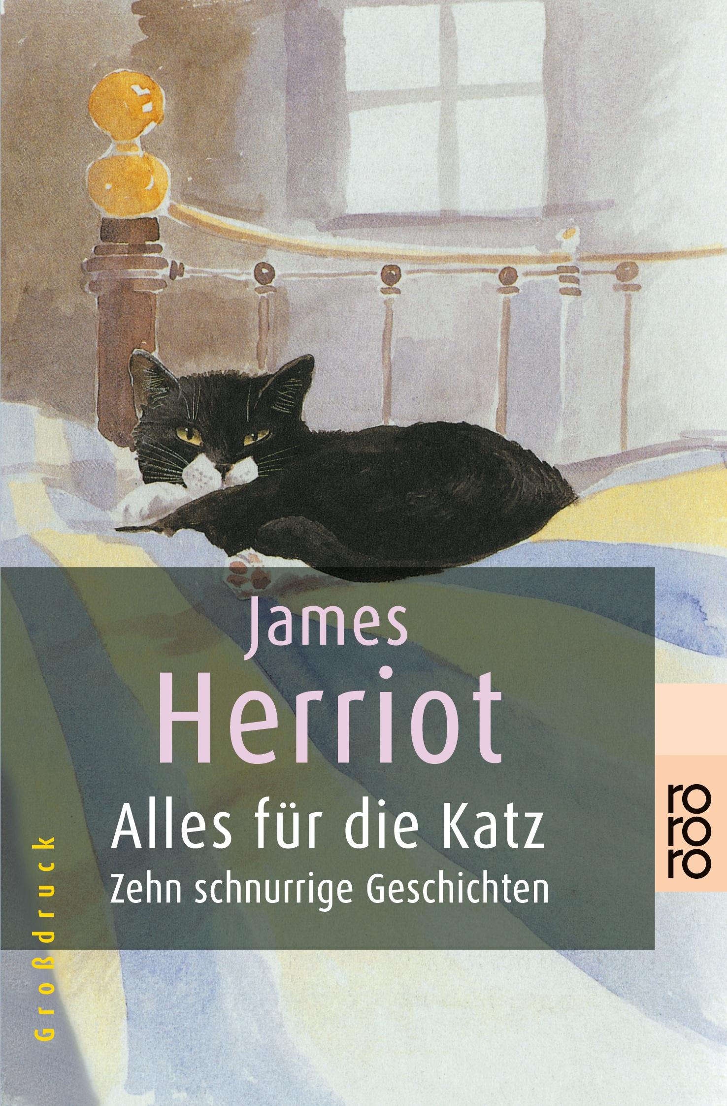 Vorderes Coverbild Alles für die Katz