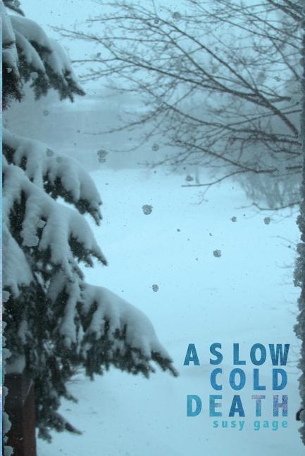 Vorderes Coverbild A Slow Cold Death