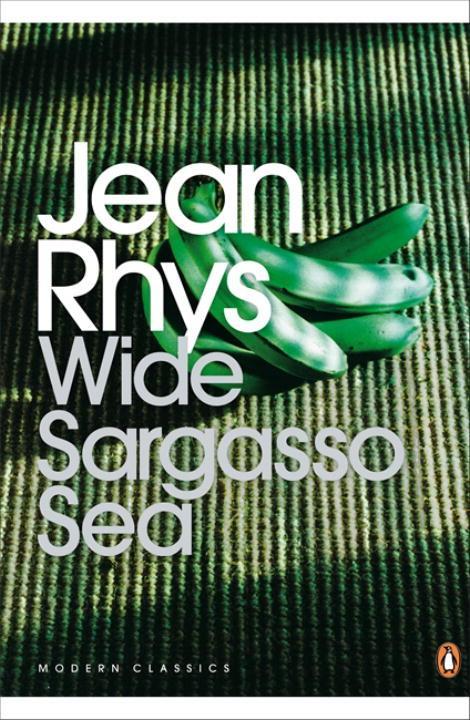 Vorderes Coverbild Wide Sargasso Sea