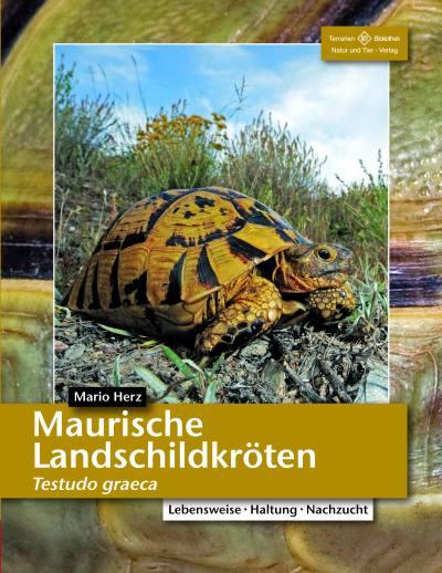 Vorderes Coverbild Maurische Landschildkröten