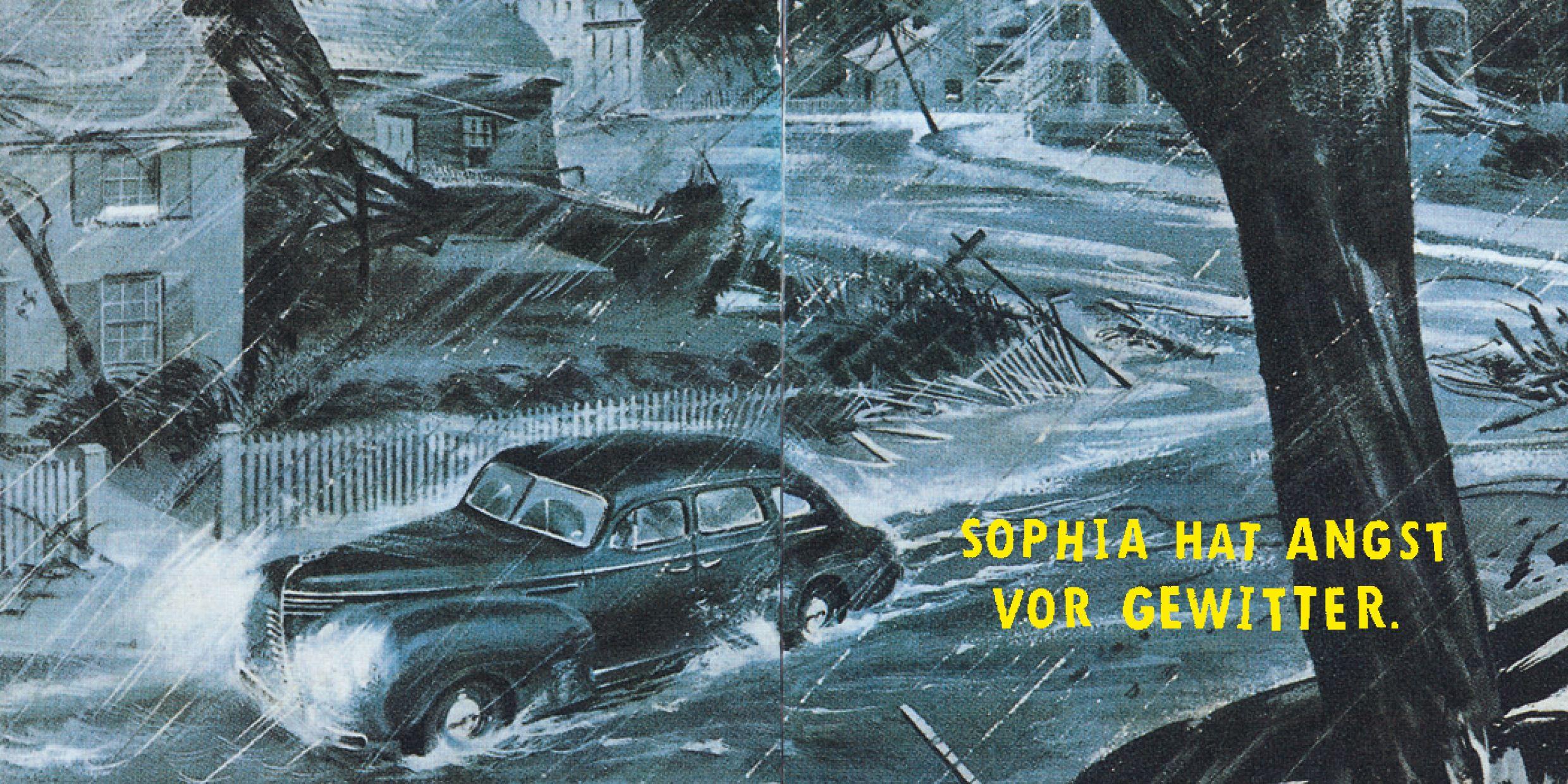 Beispielinhalt (Bild) Das mutige Buch