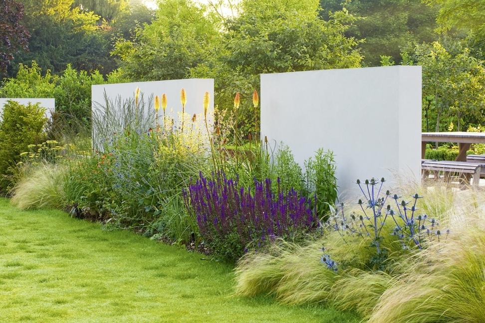 Beispielinhalt (Bild) Design mit Pflanzen