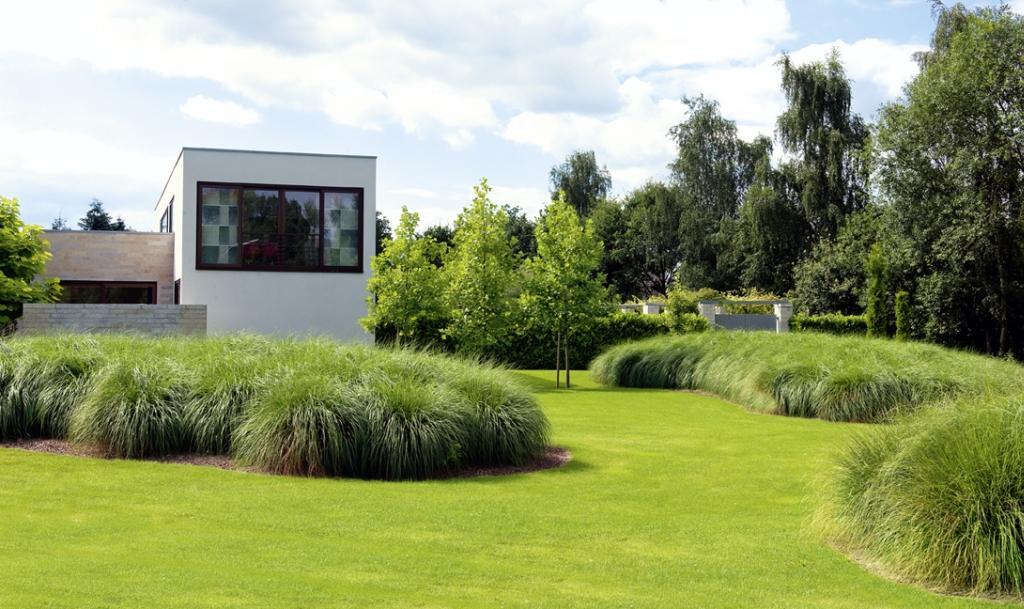 Beispielinhalt (Bild) Design mit Pflanzen