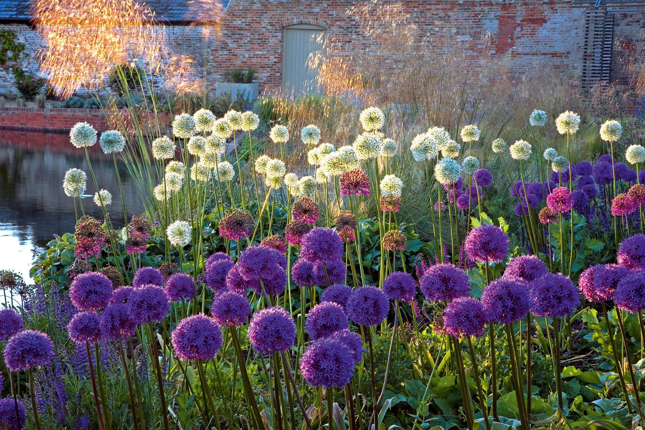 Beispielinhalt (Bild) Design mit Pflanzen