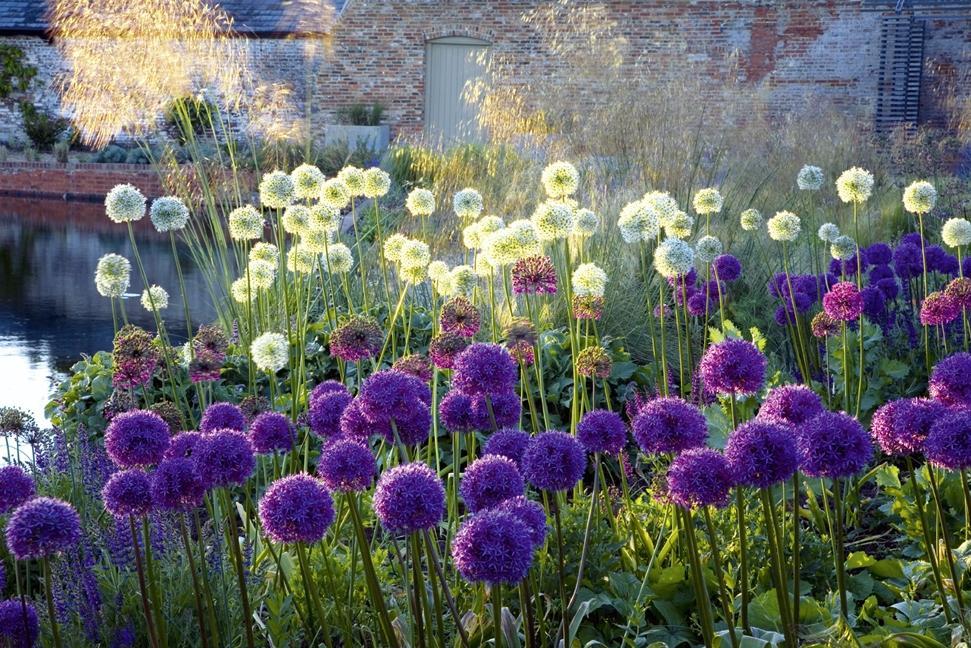 Beispielinhalt (Bild) Design mit Pflanzen