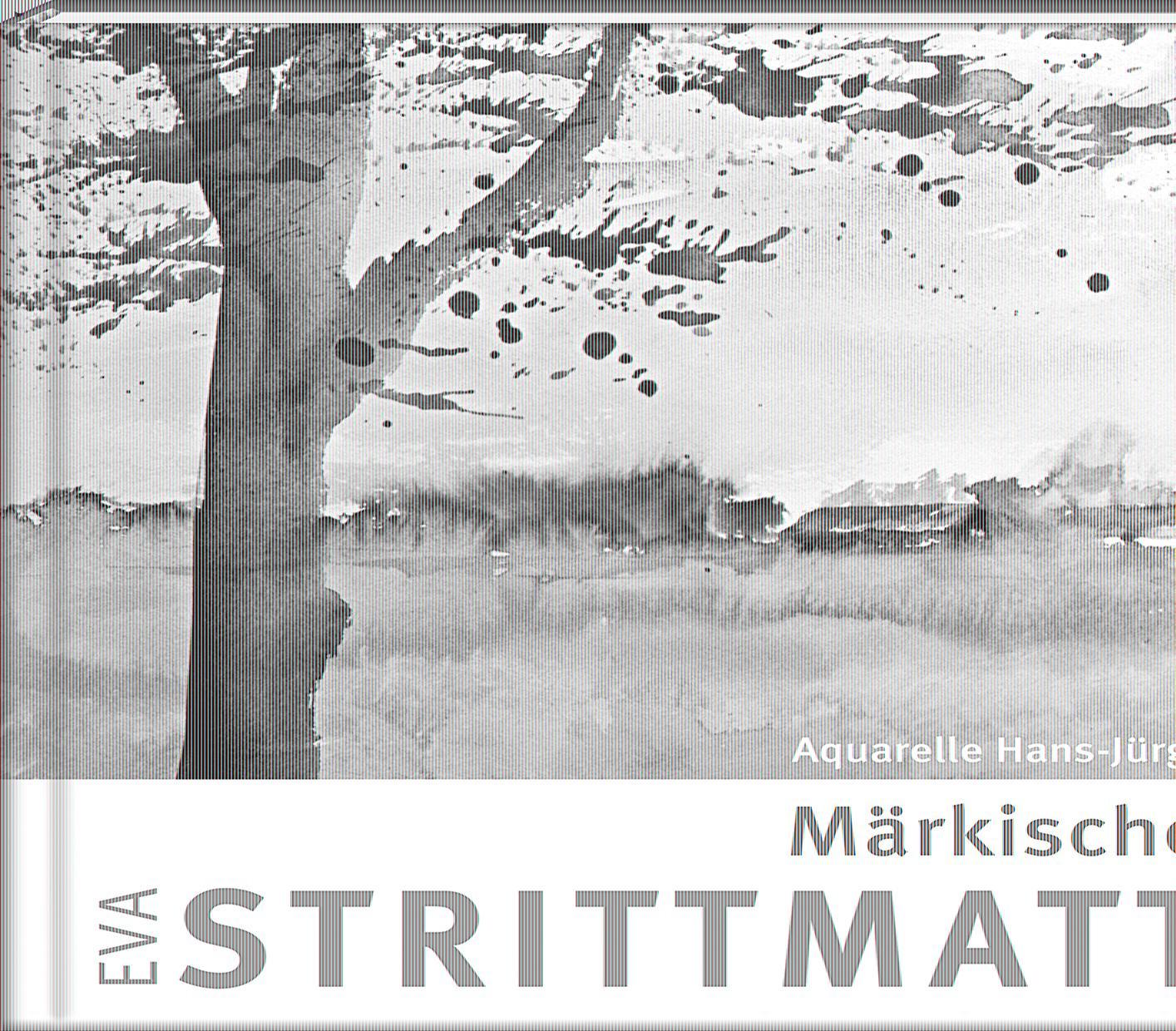 Vorderes Coverbild Märkischer Juni