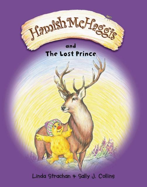 Vorderes Coverbild Hamish McHaggis and the Lost Prince