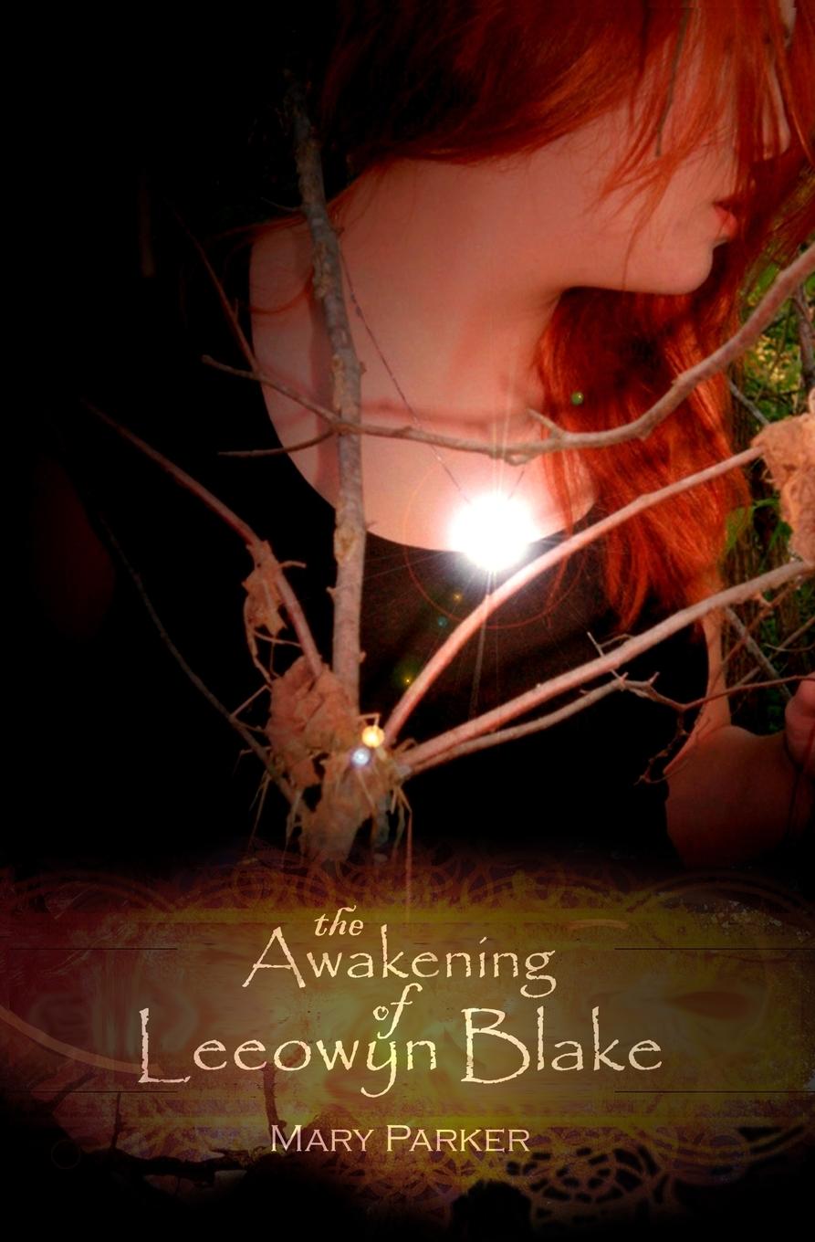 Vorderes Coverbild The Awakening of Leeowyn Blake
