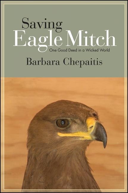 Vorderes Coverbild Saving Eagle Mitch
