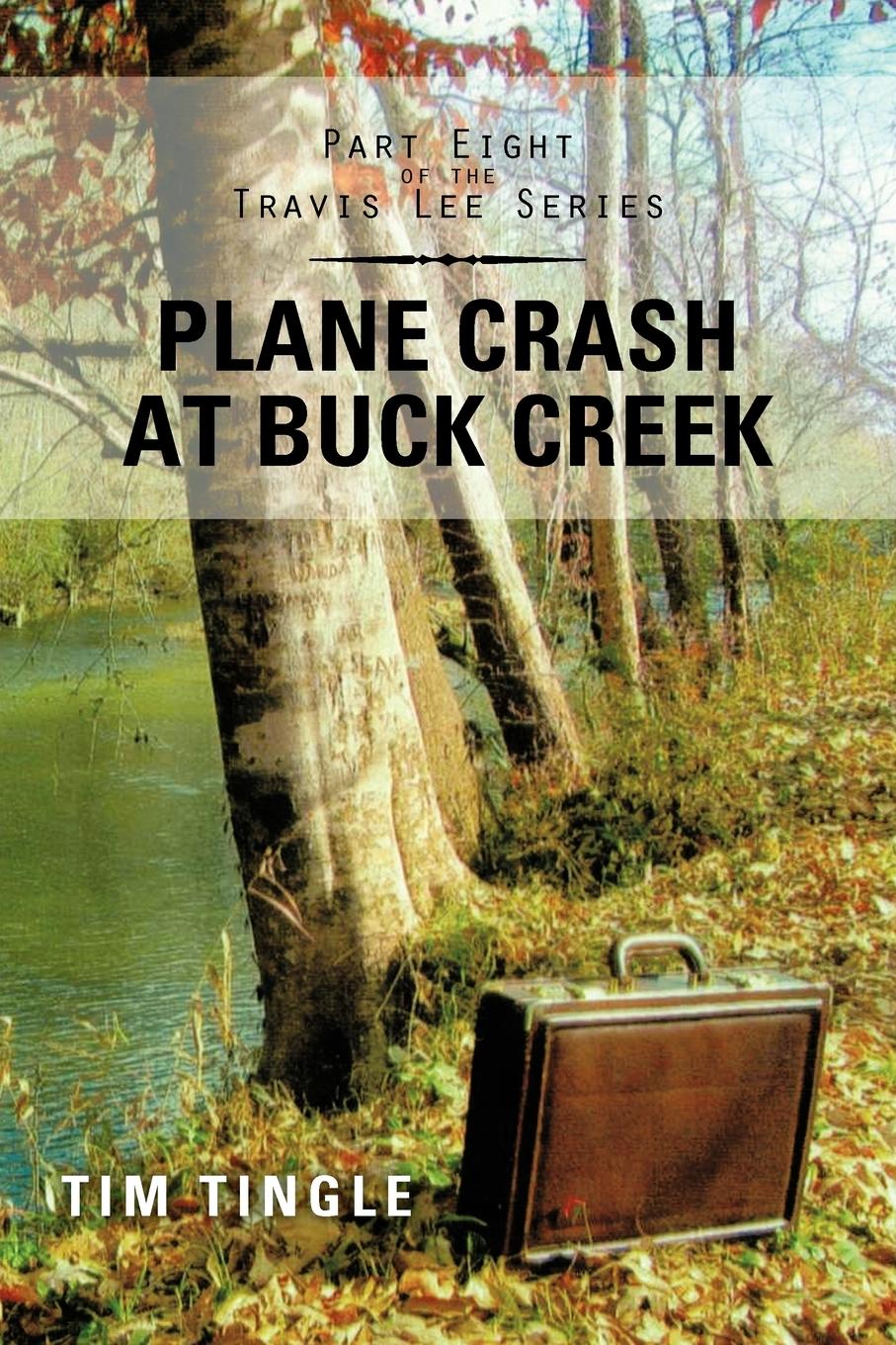 Vorderes Coverbild Plane Crash at Buck Creek