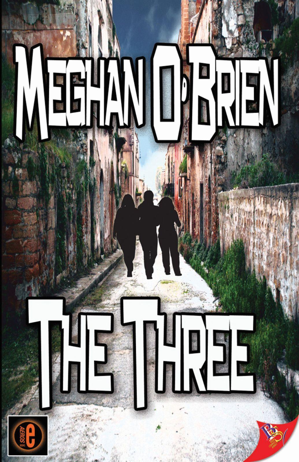 Vorderes Coverbild The Three