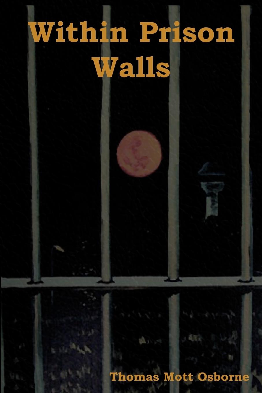Vorderes Coverbild Within Prison Walls