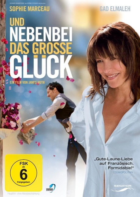 Vorderes Coverbild Und nebenbei das grosse Glück