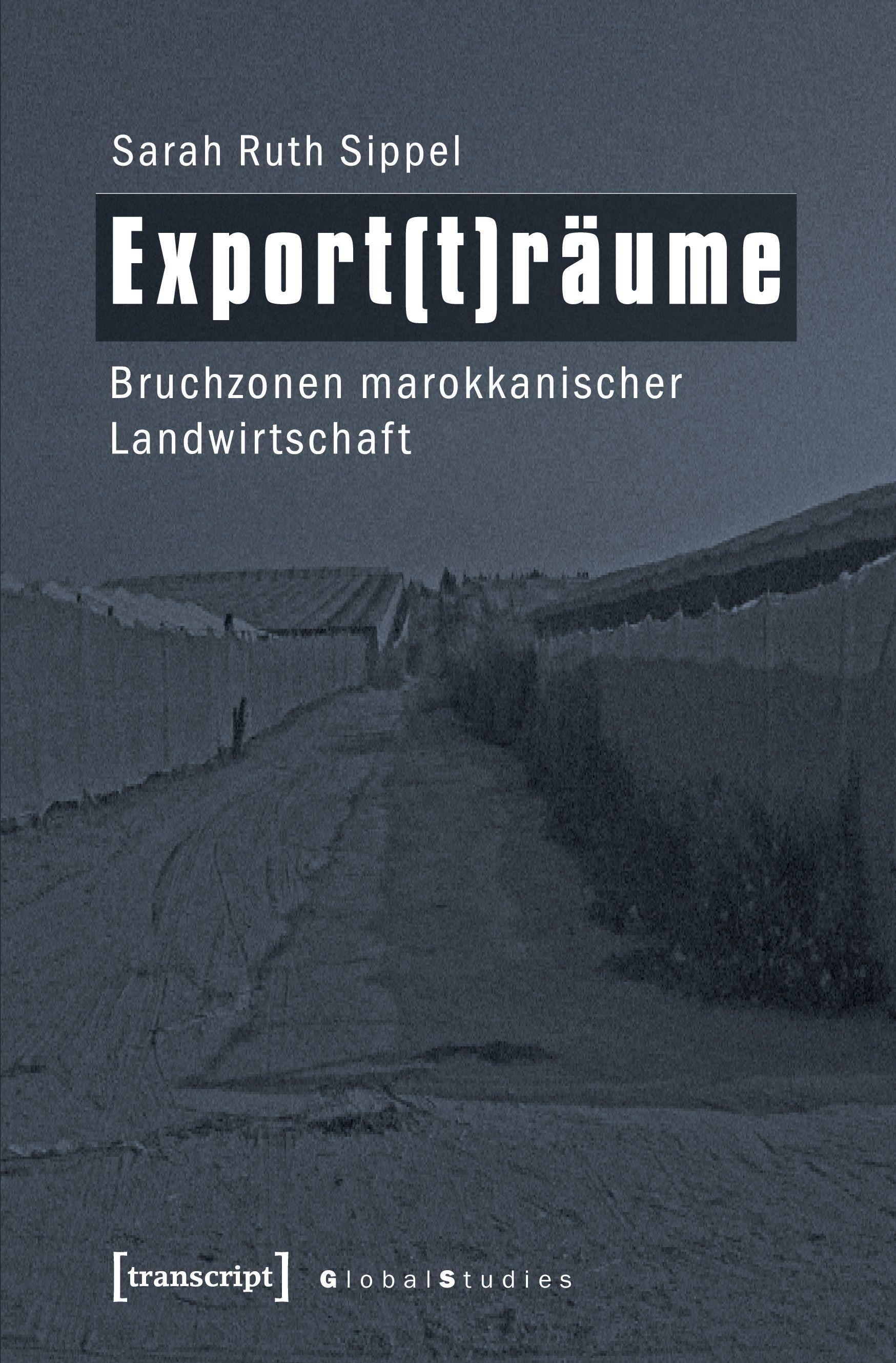 Vorderes Coverbild Export(t)räume