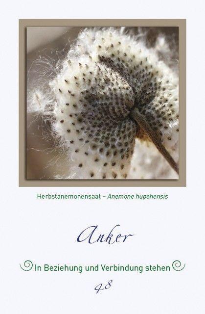 Beispielinhalt (Bild) Magische Pflanzenbilder