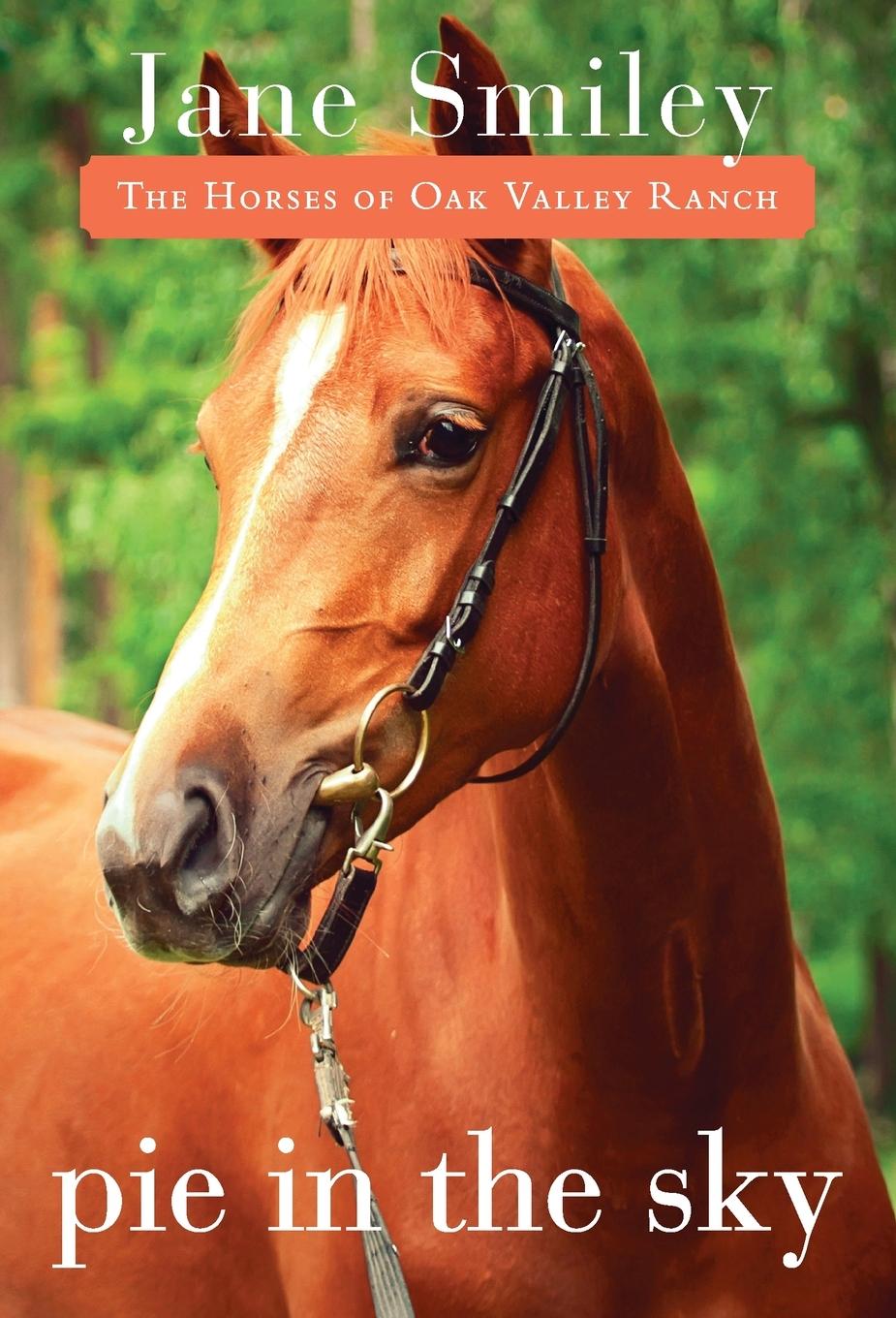 Vorderes Coverbild Pie in the Sky