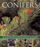 Vorderes Coverbild Conifers