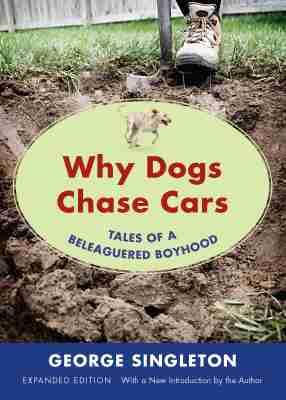 Vorderes Coverbild Why Dogs Chase Cars