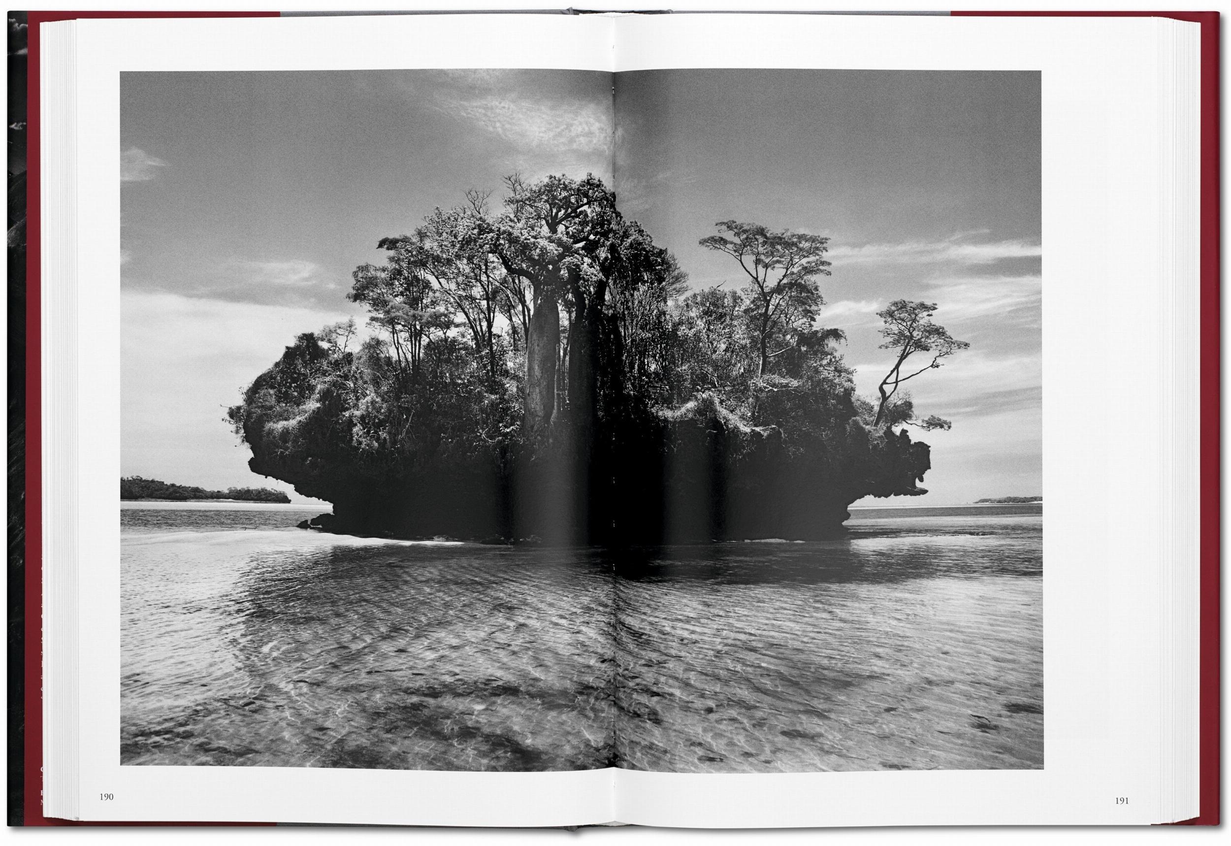 Beispielinhalt (Bild) Sebastiao Salgado. Genesis