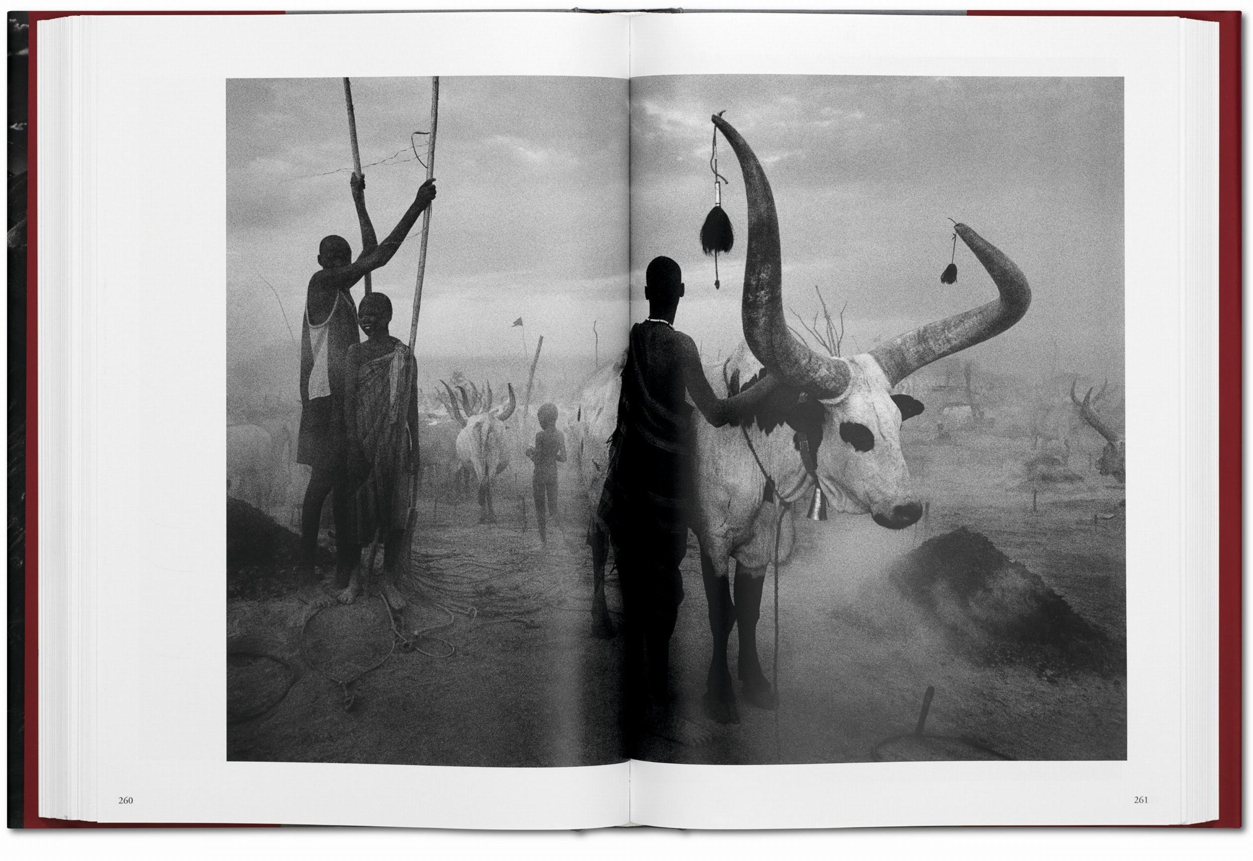 Beispielinhalt (Bild) Sebastiao Salgado. Genesis