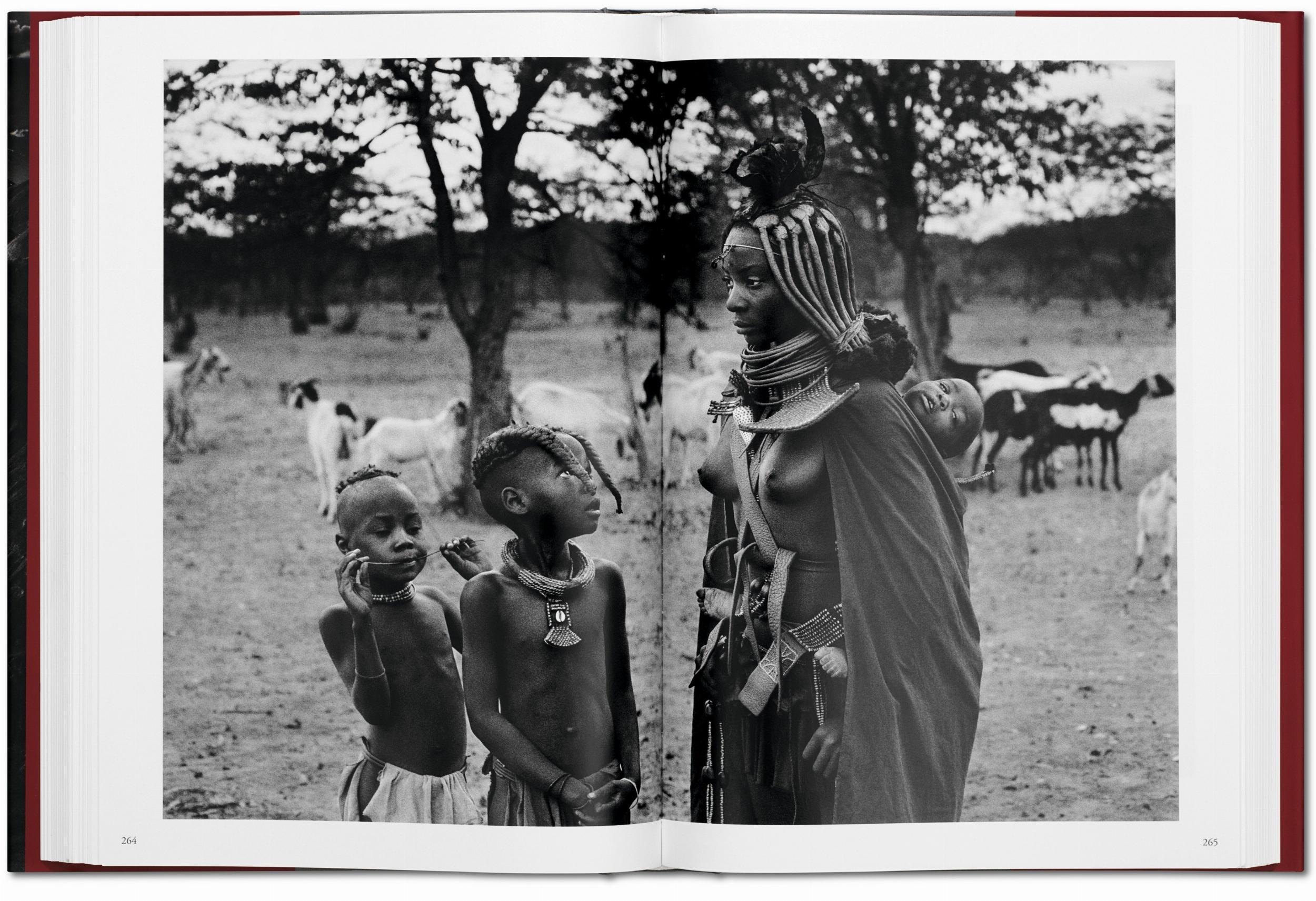 Beispielinhalt (Bild) Sebastiao Salgado. Genesis