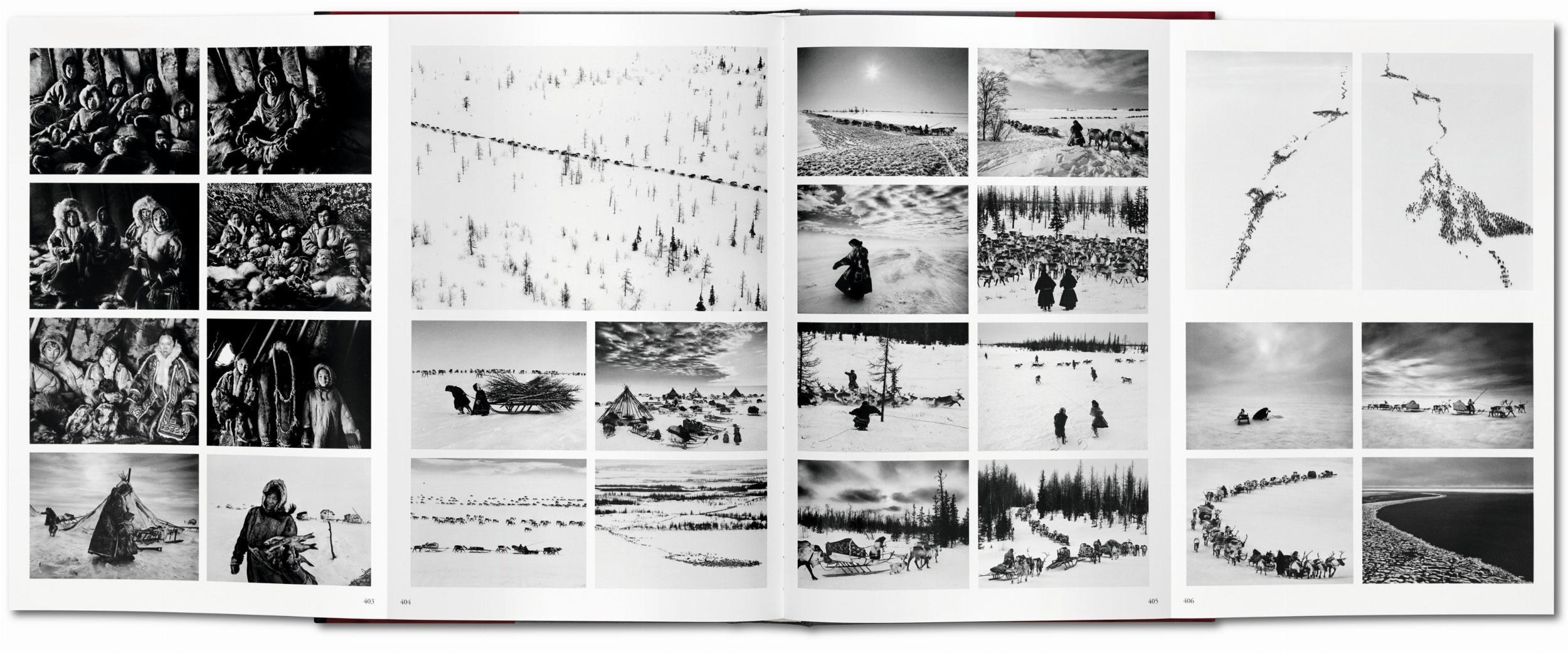 Beispielinhalt (Bild) Sebastiao Salgado. Genesis