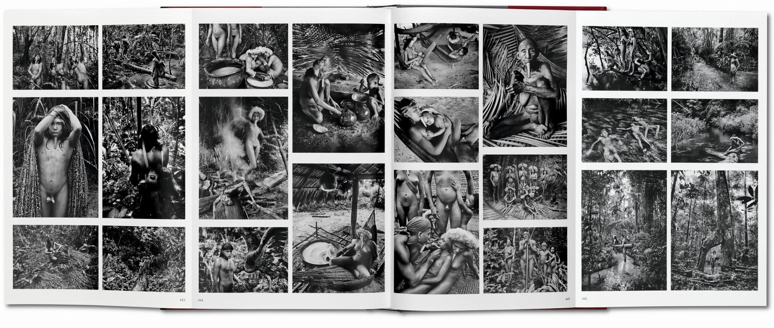 Beispielinhalt (Bild) Sebastiao Salgado. Genesis