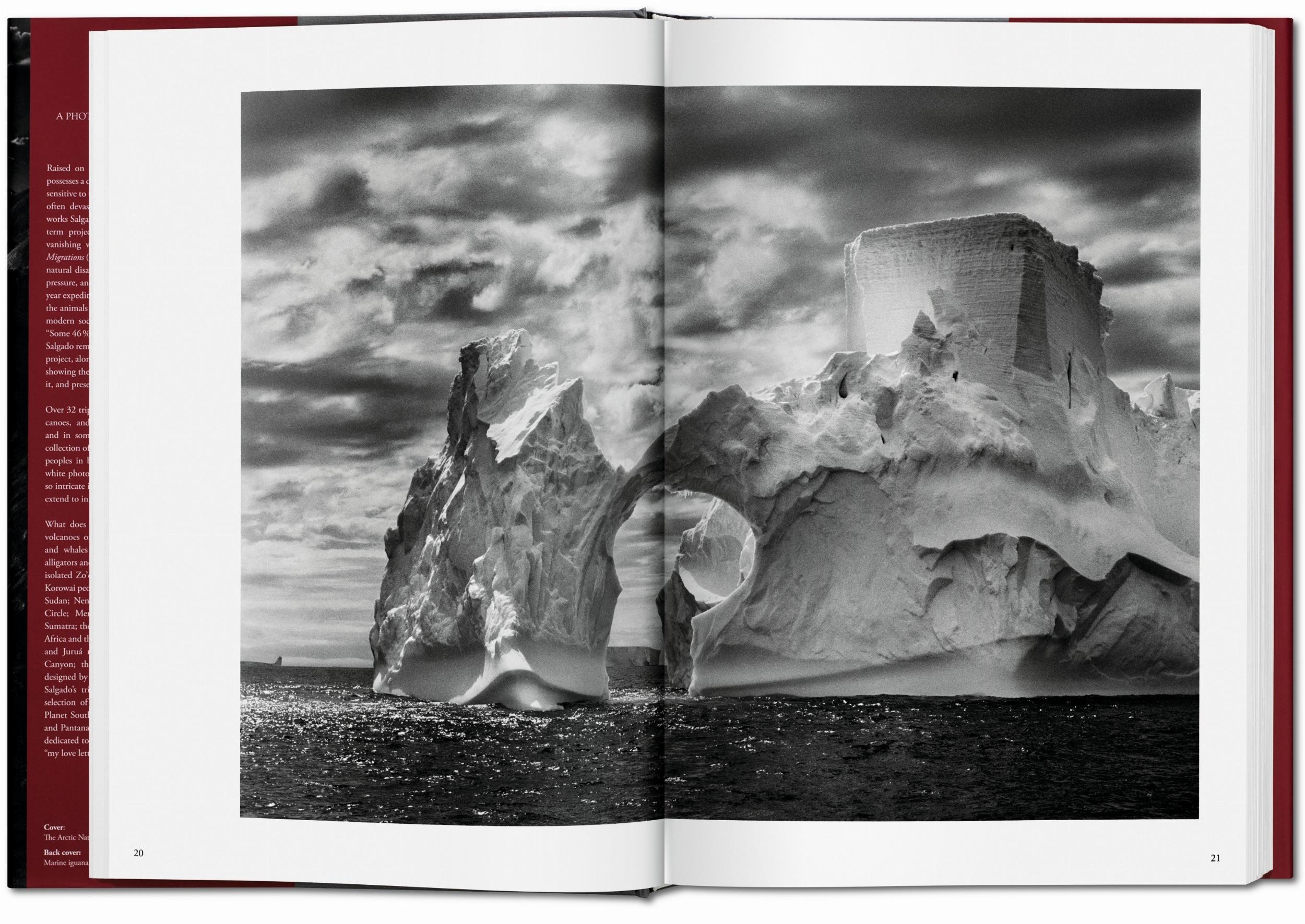 Beispielinhalt (Bild) Sebastiao Salgado. Genesis