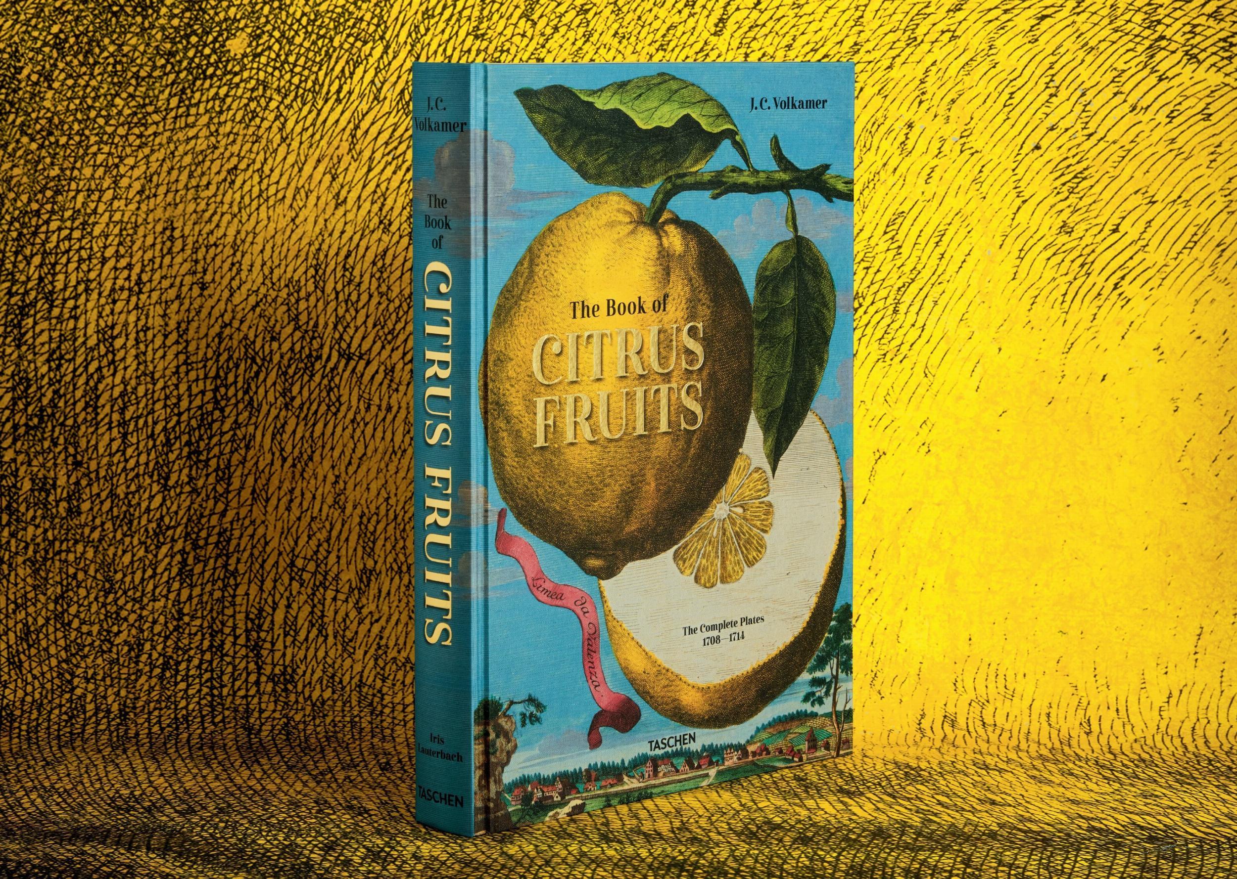 Beispielinhalt (Bild) J. C. Volkamer. The Book of Citrus Fruits