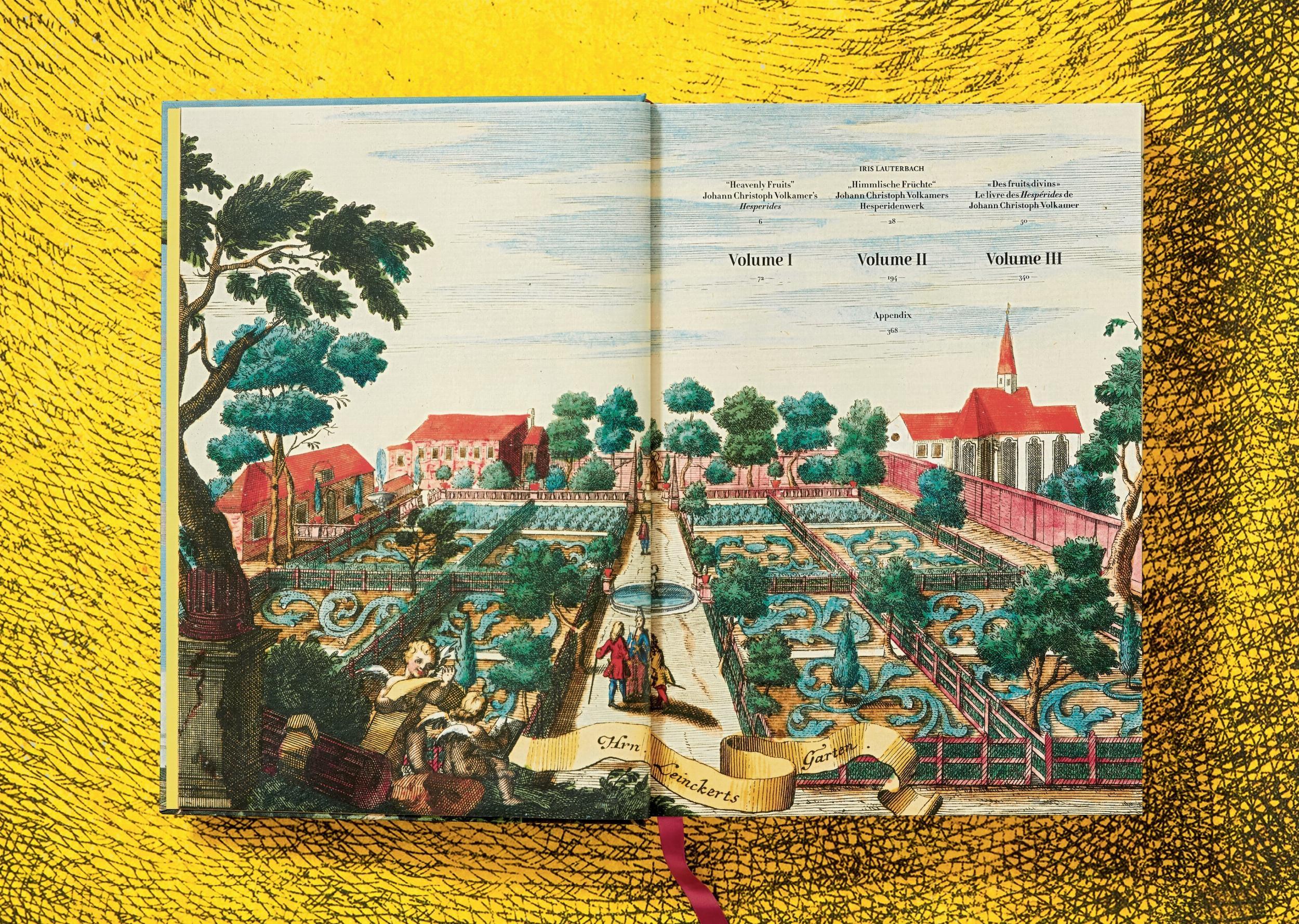 Beispielinhalt (Bild) J. C. Volkamer. The Book of Citrus Fruits
