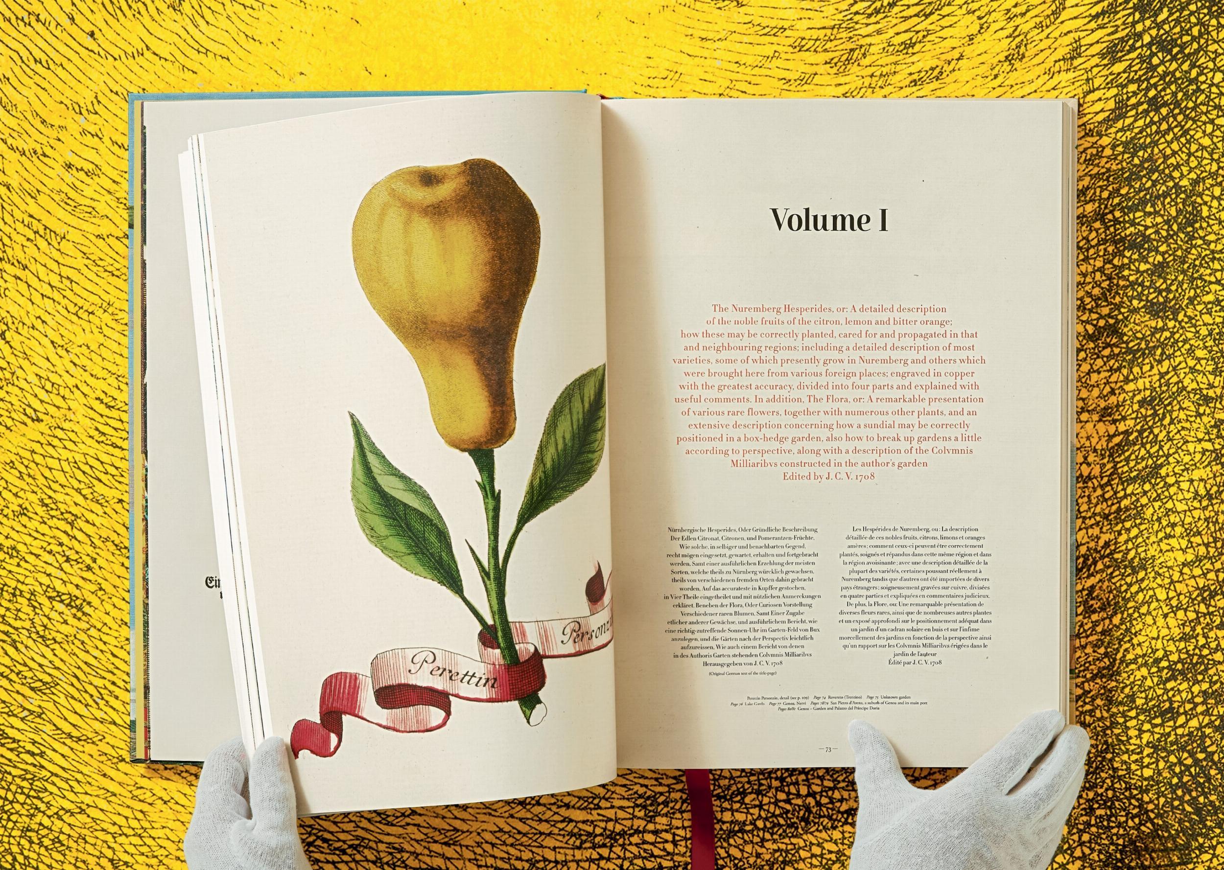 Beispielinhalt (Bild) J. C. Volkamer. The Book of Citrus Fruits