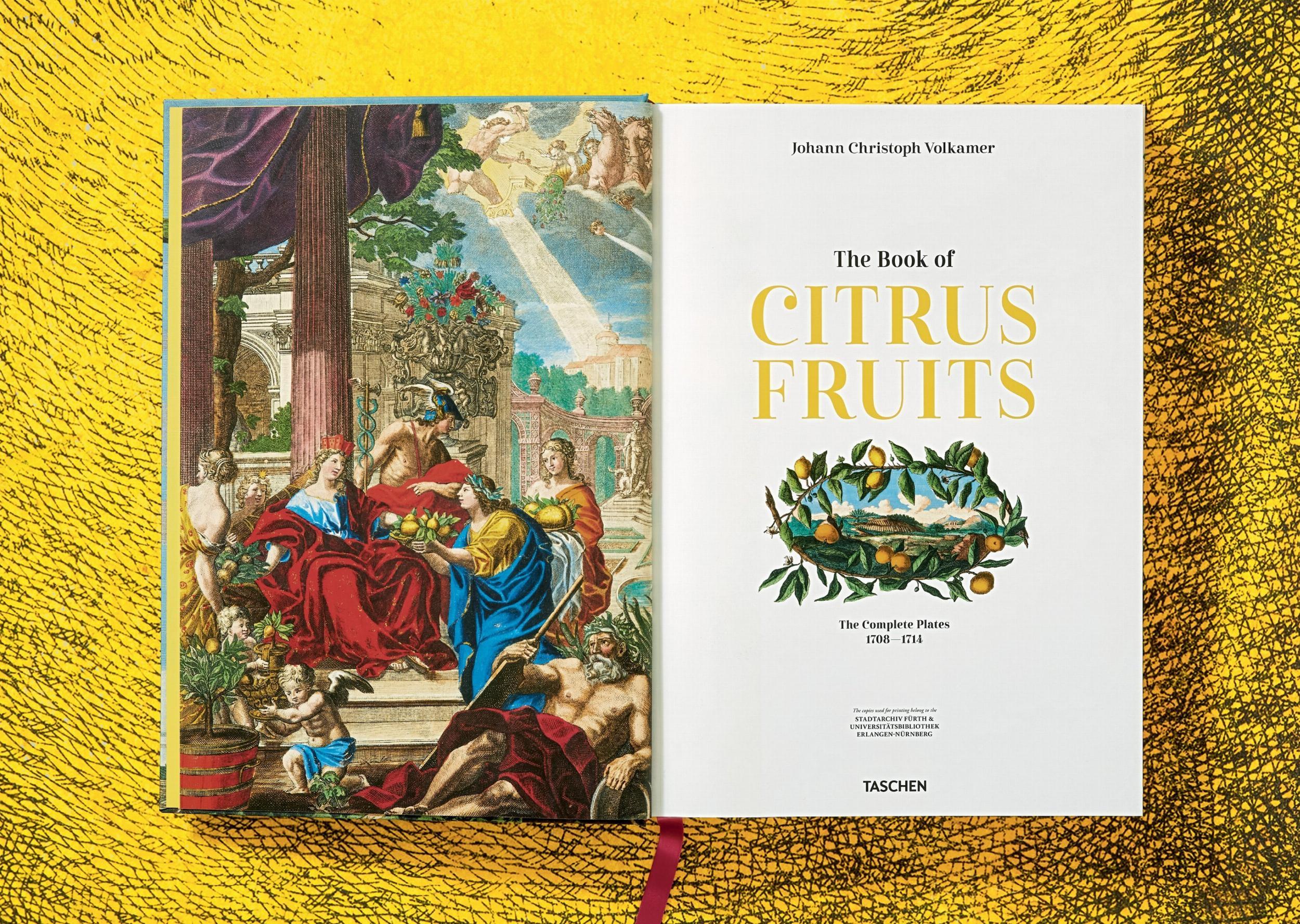 Beispielinhalt (Bild) J. C. Volkamer. The Book of Citrus Fruits