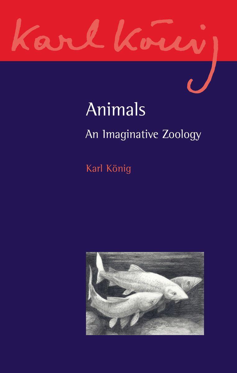 Vorderes Coverbild Animals
