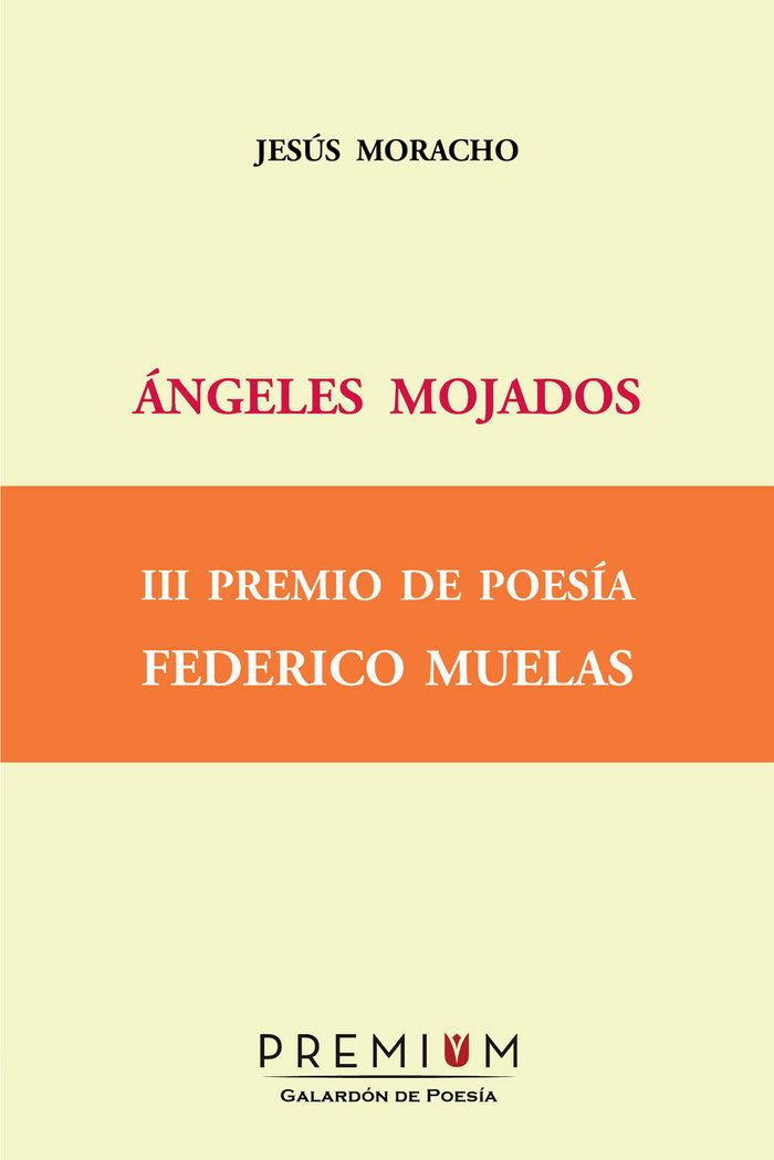 Vorderes Coverbild Ángeles mojados