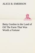 Vorderes Coverbild Betty Gordon in the Land of Oil The Farm That Was Worth a Fortune