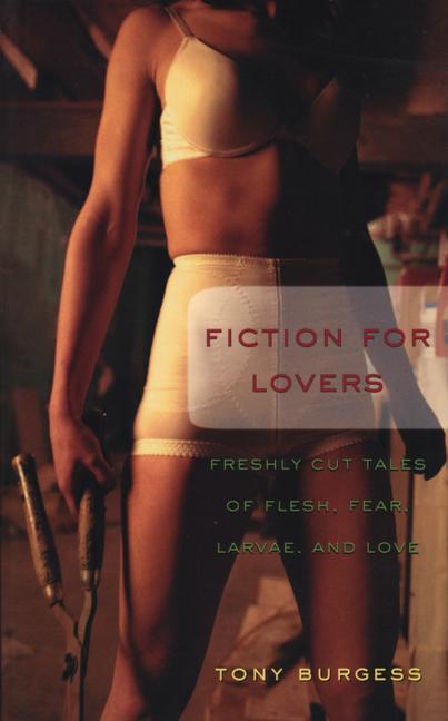 Vorderes Coverbild Fiction for Lovers