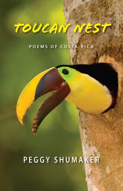 Vorderes Coverbild Toucan Nest